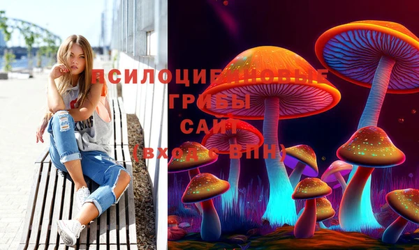 бошки Богородск