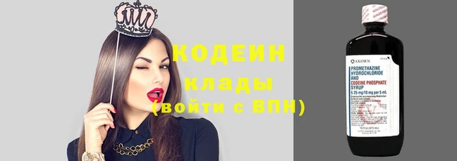 стаф Богданович