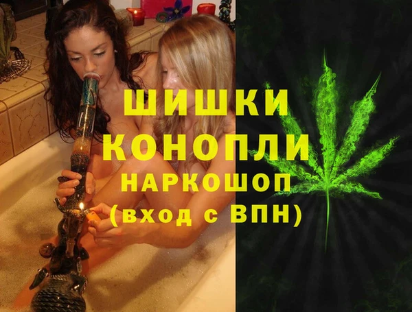 стаф Богданович