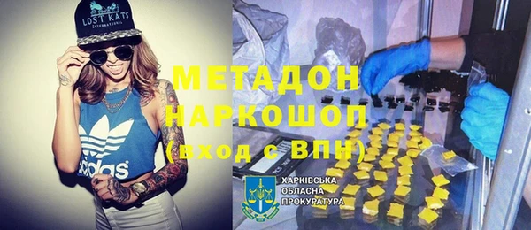стаф Богданович