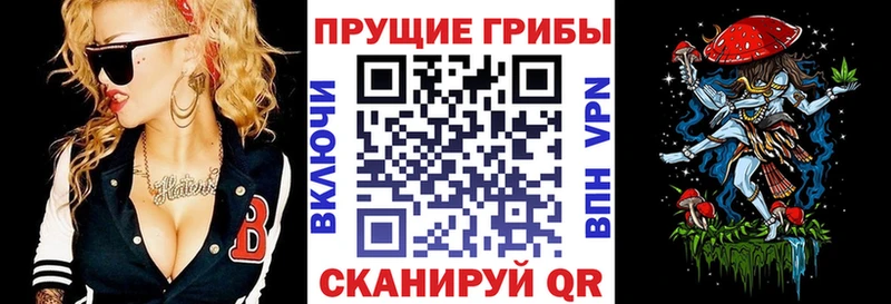 Псилоцибиновые грибы прущие грибы  mega ТОР  Кировград  цены  